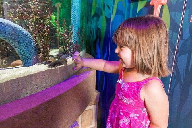 The Orlando Eye - Pricing and Value