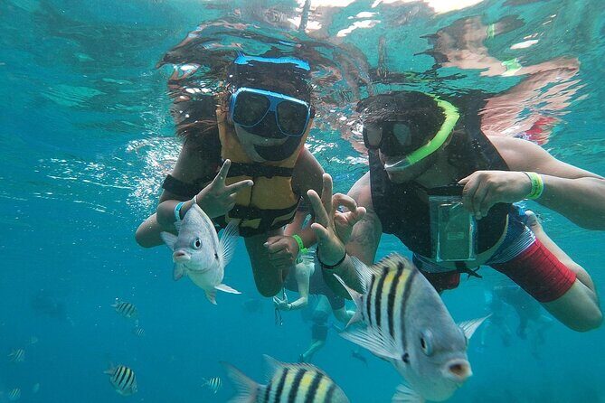 The Perfect Day in Chankanaab Park Cozumel - Cultural and Natural Highlights