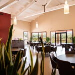 The Selections: visit and tasting in the Bolgheri Doc region - A Deep Dive into the Tour at Tenuta Di Vaira