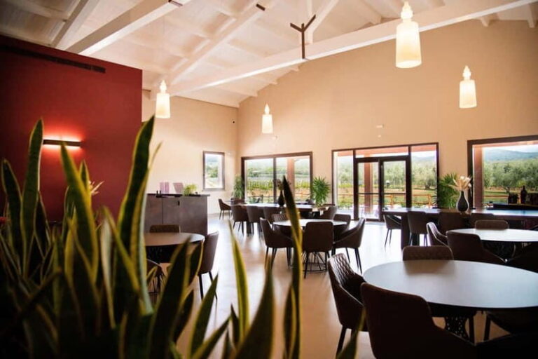 The Selections: visit and tasting in the Bolgheri Doc region - A Deep Dive into the Tour at Tenuta Di Vaira