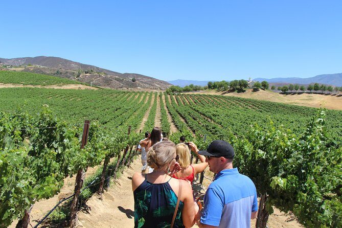 The Shared Temecula Wine Tour from Anaheim - FAQ: Your Quick Guide to the Temecula Wine Tour