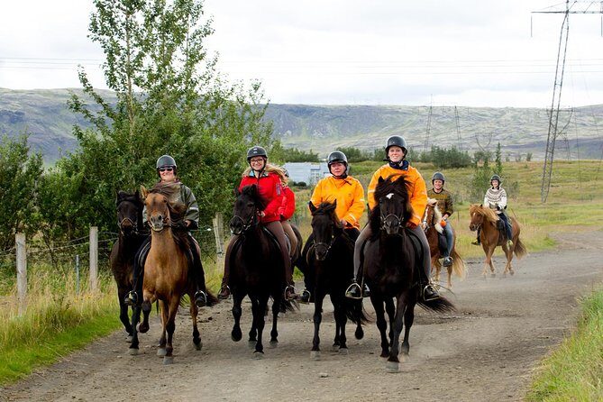 The Siggi Tour from Reykjavík: 1.5 to 2-Hour Ride - Exploring the Siggi Tour from Reykjavík: A Genuine Horseback Adventure