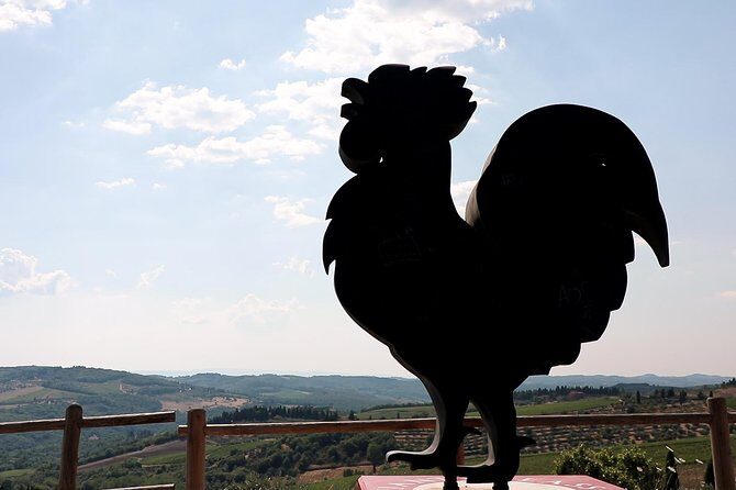 The Taste of Chianti:a Wine and Gourmet Private Tour with a truffle-based lunch - Who Should Consider This Tour?