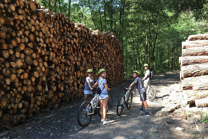 The Train Track Trail Mountain Bike Ride - Private experience - Price and Value