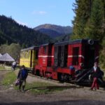 The trains of Romania in 9 days - What Makes This Tour Stand Out?