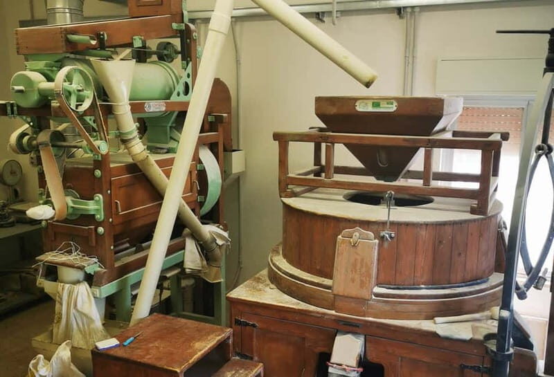 The treasures of the Nisseno: oil wine cheese and cuddrireda - Who Should Consider This Tour?