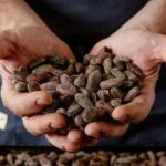 The Turin Chocolate Factory Guided Tour & Tasting - The Tasting Experience