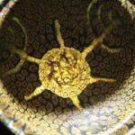 The Ultimate Private Plovdiv Urban Wine & Cultural Tour - Practical Details and Tips