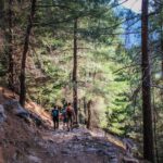 The Unique Tour of Samaria Gorge - The Itinerary: What to Expect