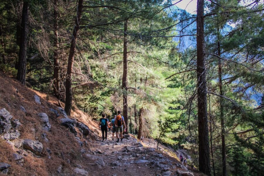 The Unique Tour of Samaria Gorge - The Itinerary: What to Expect