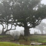 The Untraveled West Tour - Who Should Consider This Tour?