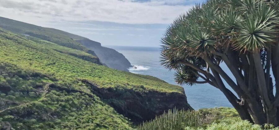 The Wildest Side of La Palma: Hiking into the Past in Garafía - The Natural and Cultural Highlights