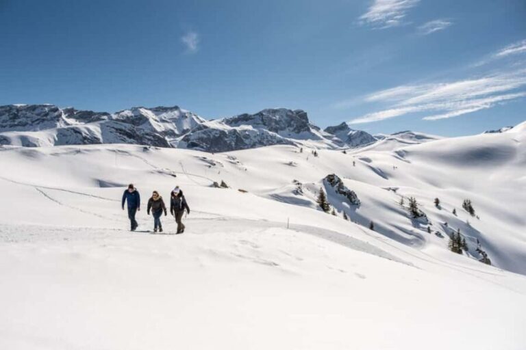 The winter hiking pass on Betelberg - The Real Experience: What Visitors Say