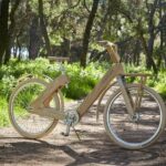 The Wooden Bicycle Tour in Stockholm - The Practicalities
