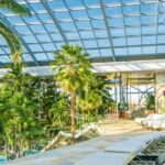 Therme Bucharest - Private Transfer and 3 Hours Tickets - What To Expect During Your Visit