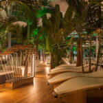 Therme:Spa Day at the biggest oasis of RelaxationBucharest - The Practical Side: Booking, Cost, and What’s Included