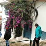 Thessaloniki Old Town Walking Tour-Culture-Nature-Plants - Discovering Thessaloniki’s Old Town