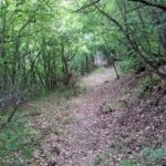 Thessaloniki to Naoussa, Wine Tasting Tour  Private Day Trip - The Practical Side: Transportation, Timing, and Value