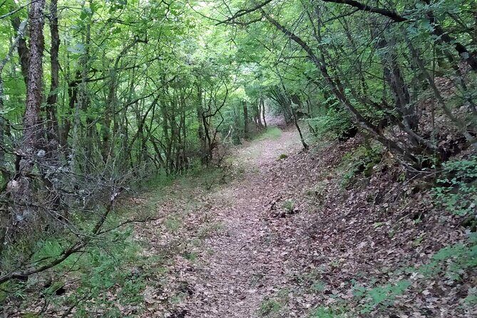 Thessaloniki to Naoussa, Wine Tasting Tour  Private Day Trip - The Practical Side: Transportation, Timing, and Value