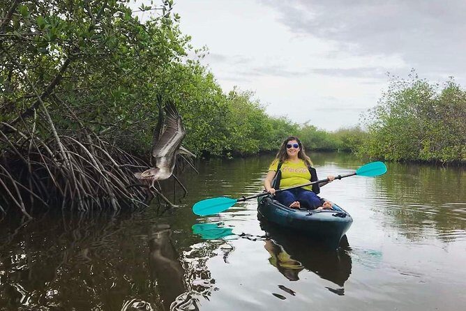 Thousand Island Mangrove Tunnel, Manatee & Dolphin Kayak Tour w/Cocoa Kayaking - Who Is This Tour Best For?