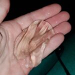 Thousand Islands Mangrove Tunnel & Bio Comb Jelly Sunset Tour - Real Traveler Feedback