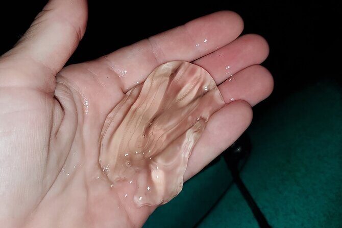 Thousand Islands Mangrove Tunnel & Bio Comb Jelly Sunset Tour - Real Traveler Feedback