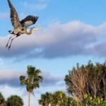 Thousand Islands Mangrove Tunnel Kayak Tour with Cocoa Kayaking! - Frequently Asked Questions