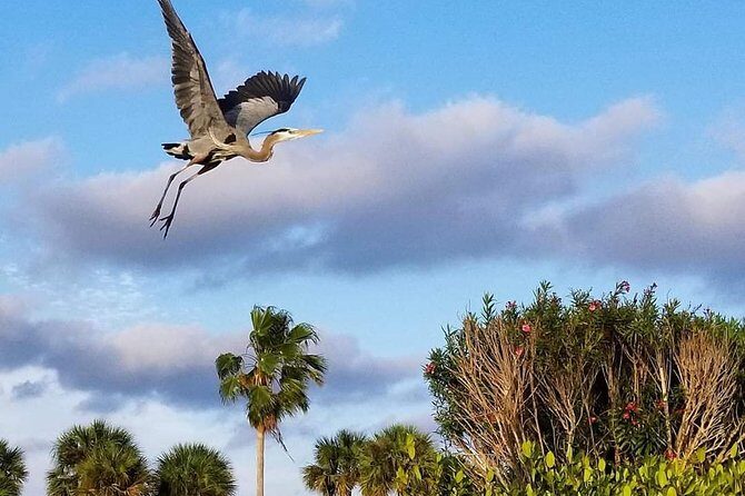 Thousand Islands Mangrove Tunnel Kayak Tour with Cocoa Kayaking! - Frequently Asked Questions