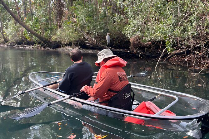 Three Sisters Sunset and Glow Clear Kayak & Wildlife Tour - The Practical Side: Price, Duration, and Group Size