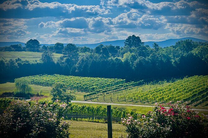Three Vineyards Half Day Private Wine Tour From Asheville - What’s Included and What’s Not
