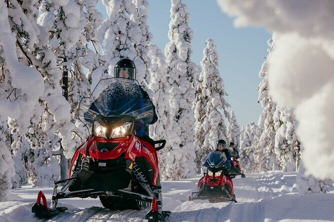 Thrill of Snowmobiling for Adults Only - Who is this tour best for?