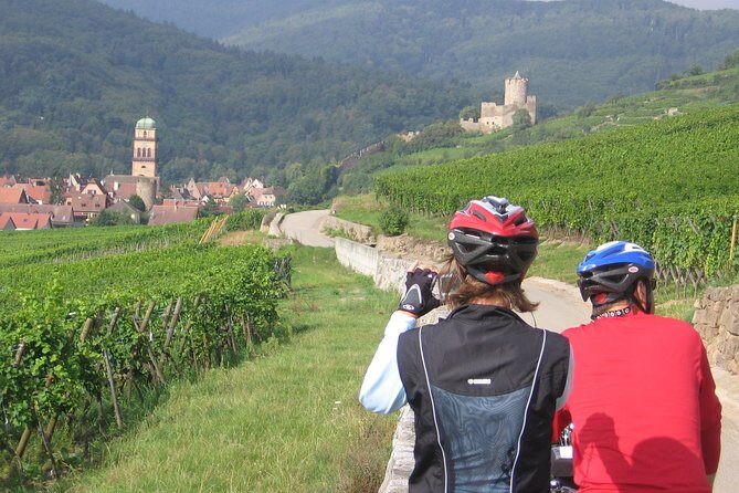 Through Alsace Vineyards and Wine Villages Private Bike Tour - Diving Into the Itinerary: What’s in Store