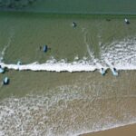 Thurso: Dunnet Beach Beginner Surf Lesson - What Makes This Experience Stand Out?