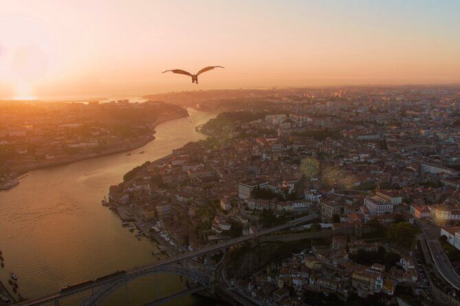 Ticket: Fly over Porto City, 5D experience for all family - Practical Details and Tips