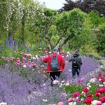 Tickets to Explore Ireland's Global Garden - The Practicalities