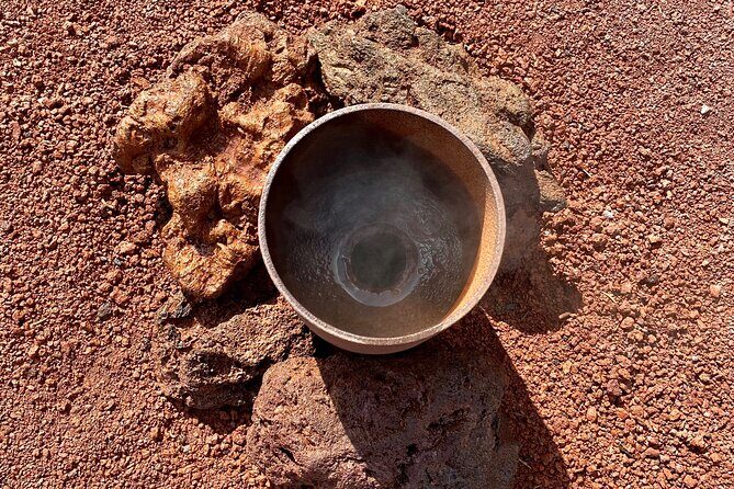 Timanfaya National Park Morning Tour - What’s Included and What’s Not