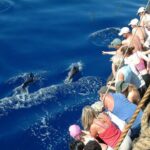 Time Travel on Columbus Replica Flag Ship in Madeira - The Pros and Cons