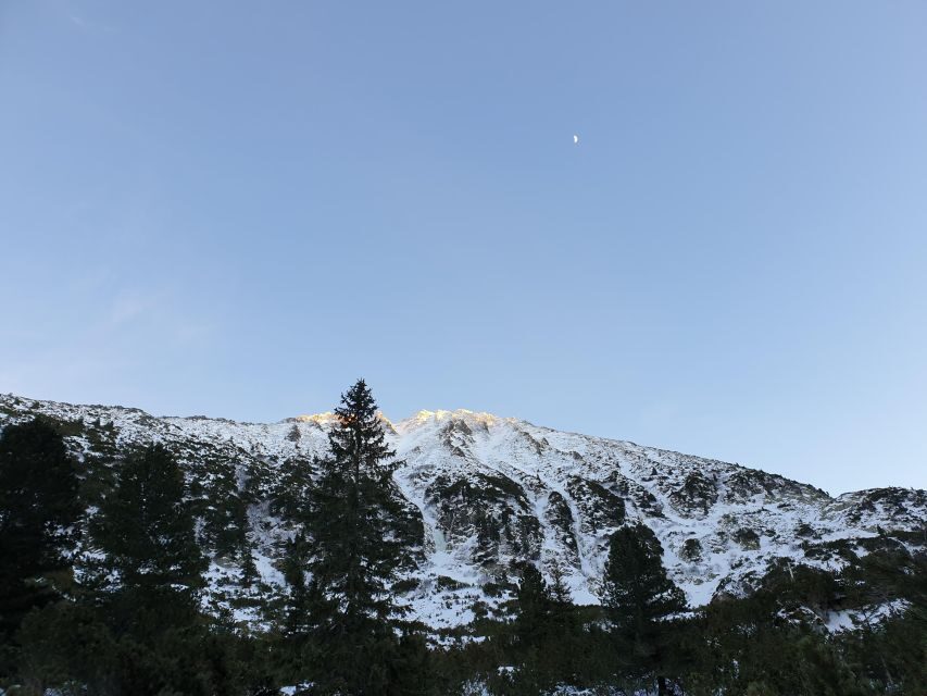 Timisoara Dream Tours: Let's Go Hiking in Retezat Mountains - Itinerary Breakdown