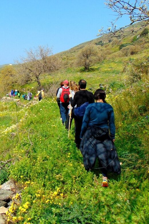 Tinos: Tarampados to Komi Guided Hiking Tour - What You Can Expect on the Day