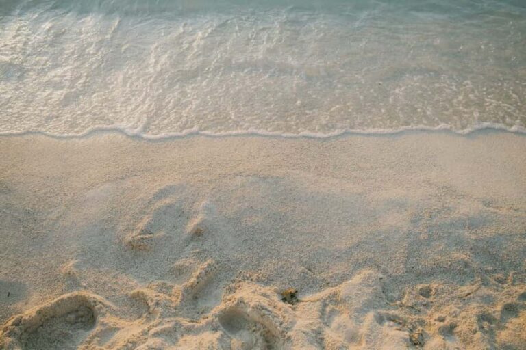 Tirana/Durres: Saranda, Ksamil, Blue Eye & Vjosa River Tour - An In-Depth Look at the Tour Experience