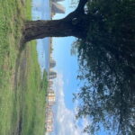 Tirana: Pyramid Schemes & Bunker Dreams - How the Tour Works