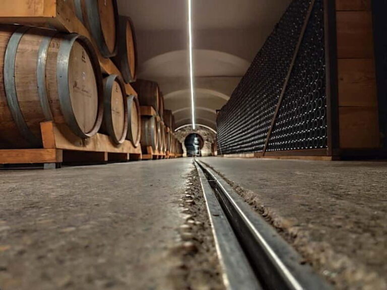 Tirana to Shkoder by Eden: Private day trip - What Does the Experience Offer?