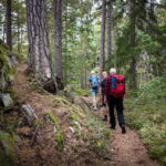 Tiveden National Park: Morning Tour with Breakfast - Key Points