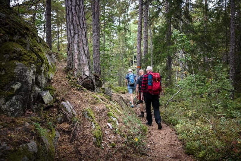 Tiveden National Park: Morning Tour with Breakfast - Key Points