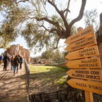 Tivoli: Entrance Ticket to Villa Adriana & App Audioguide - What to Expect When You Visit