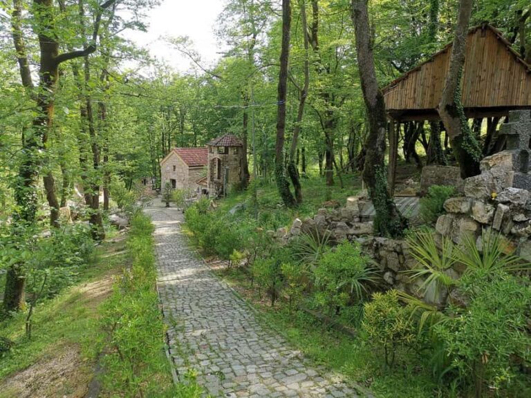 Tkibuli Day Trip with Wine & Tea Tasting from Kutaisi - What Travelers Say