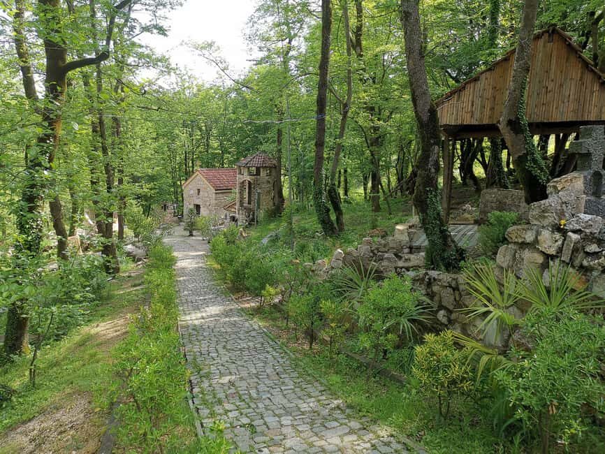 Tkibuli Day Trip with Wine & Tea Tasting from Kutaisi - What Travelers Say