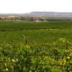 Toledo: Casa del Valle Winery Tour and Wine Tasting - The Practicalities