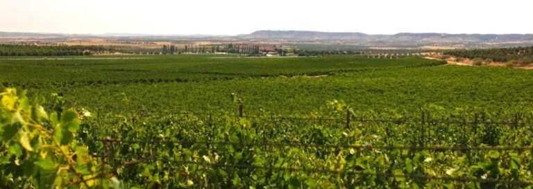 Toledo: Casa del Valle Winery Tour and Wine Tasting - The Practicalities