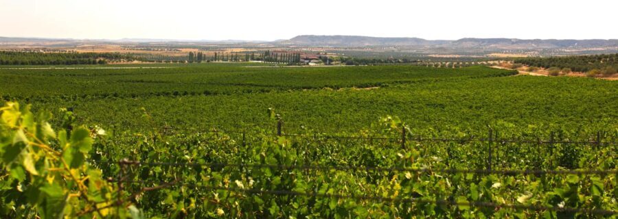 Toledo: Casa del Valle Winery Tour and Wine Tasting - The Practicalities